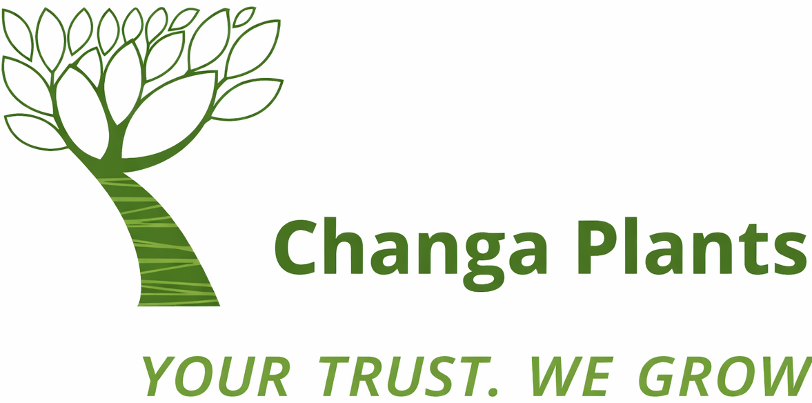 Changa Plants